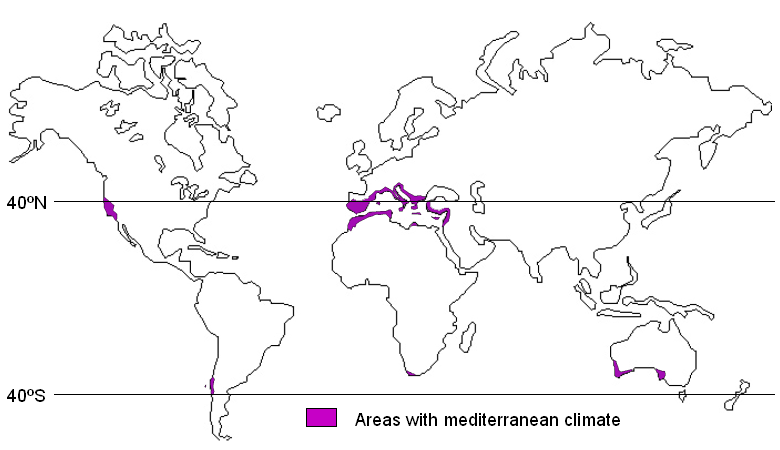 Mediterranean Climate Wine Wit And Wisdom