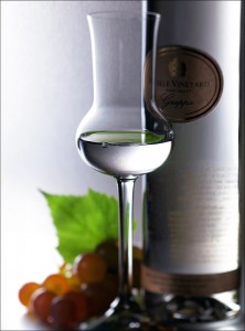 Grappa Glass