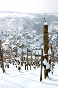 germany vineyards snow