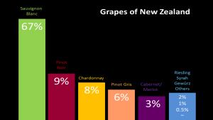 New Zealand SB grapes