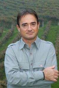 Alan Tardi in the vineyards at Pasquale Catanzariti