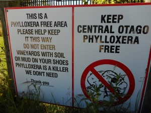 Sign at the entrance of Rippon winery, whose vineyards remain phylloxera-free