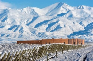 Snow-capped Andes Mountains and vineyards