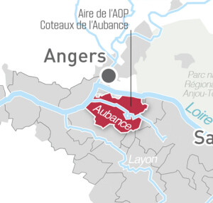 Map via: https://www.vinsvaldeloire.fr/