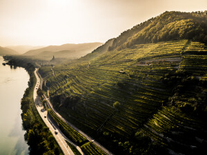 Photo of the Wachau by Robert Herbst via the website of Austrian Wine