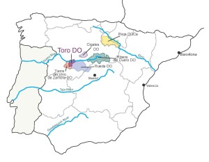 Map of the Toro DO and surrounding appellatons 