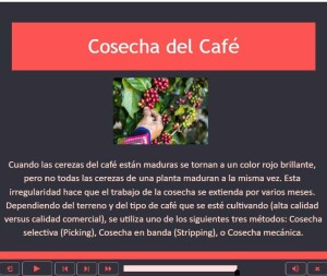 Spanish HBSC-Coffee