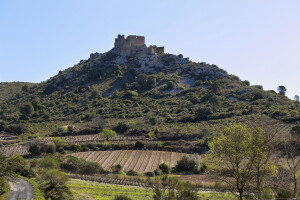 The Château d'Aguilar (Castle of Aguilar), a 12th-century castle located in Tuchan