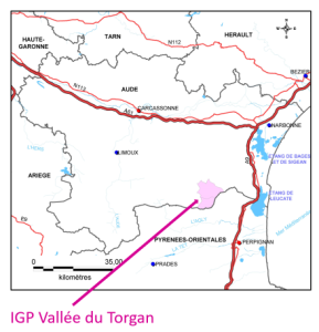 Map of the Vallée du Torgan IGP via the INAO