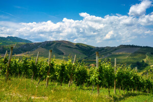 Rural landscape on the hills near Riolo Terme and Brisighella