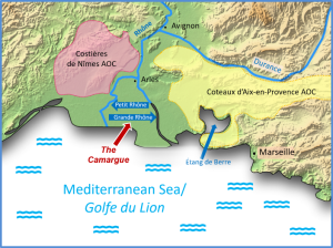 graphic-map-camargue
