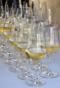 31776357 - white wine in a glass on a background