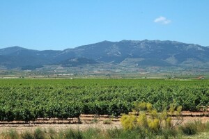 Photo of the Urbezo PDO via www.mapa.gob.es