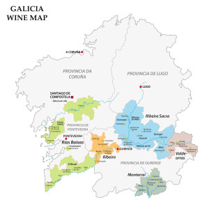 101805833 - galicia, spain, vector map of the vineyards